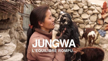 JUNGWA l'équilibre rompu - affiche